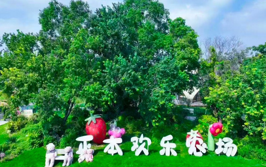 徐州正本农场